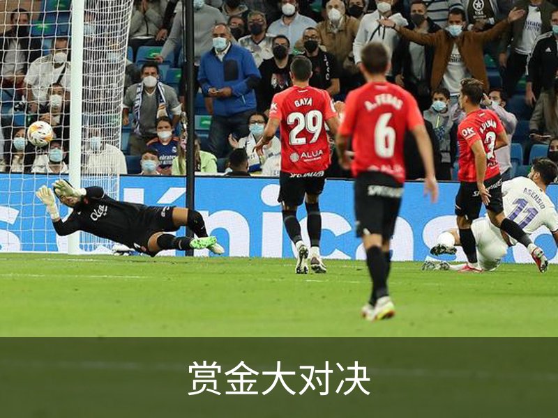 赏金大对决概况